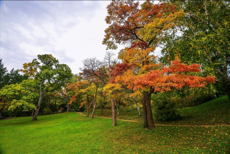 seasons, Autumn, Park, Trees, Grass, Trail, Nature, Forest, Garden HD Wallpaper Desktop Background