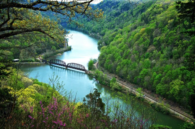 scenery, River, Forest, Bridge, Nature, Railroad, Train, Tracks HD Wallpaper Desktop Background