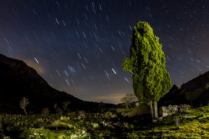 tree, Night, Stars, Timelapse, Sky, Landscapes, Mountains, Ruins