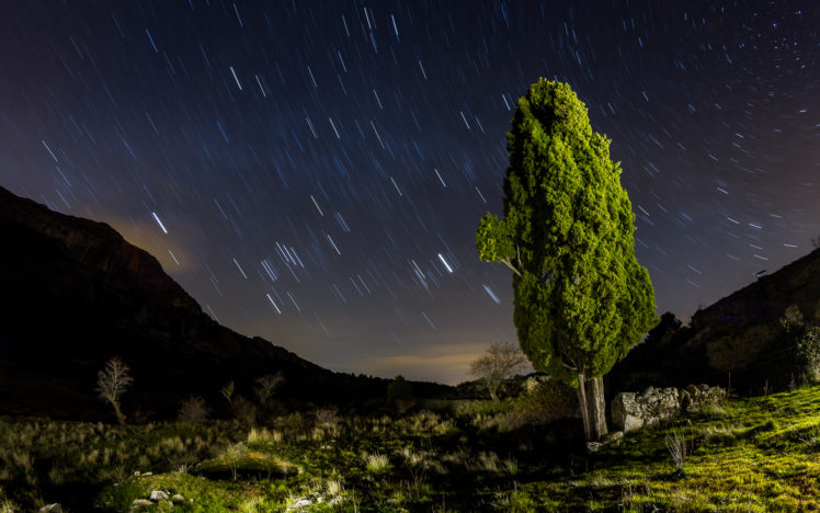 tree, Night, Stars, Timelapse, Sky, Landscapes, Mountains, Ruins HD Wallpaper Desktop Background