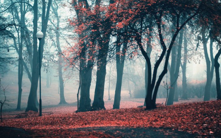 landscapes, Trees, Autumn,  season , Leaves, Fog, Lanterns, Parks, Fallen, Leaves HD Wallpaper Desktop Background