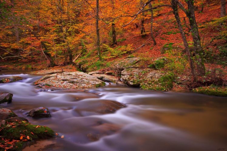 forest, Turkey, Bursa, Tree, Water, Autumn, Landscape, River HD Wallpaper Desktop Background