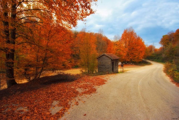 house, Forest, Turkey, Bursa, Tree, Road, Autumn, Landscape, Sky HD Wallpaper Desktop Background