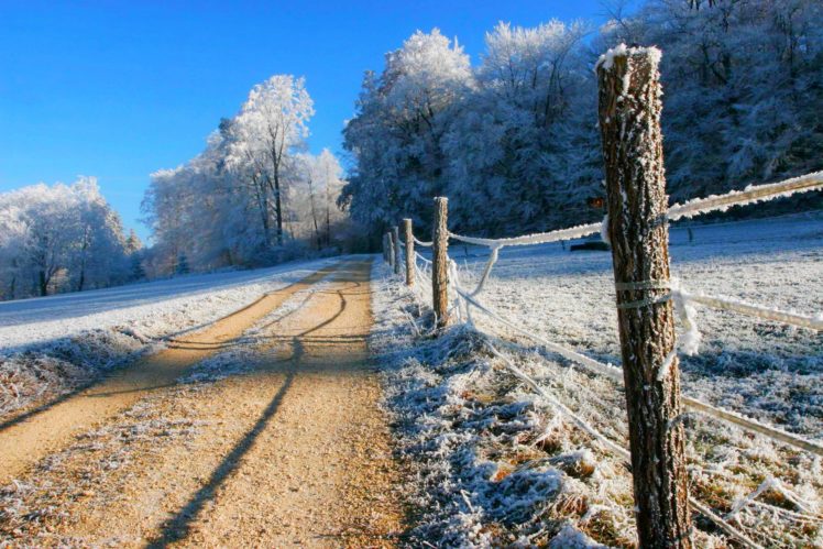 nature, Winter, Snow, Road, Trees, Forest, Sky, Landscape, Forest, Road ...