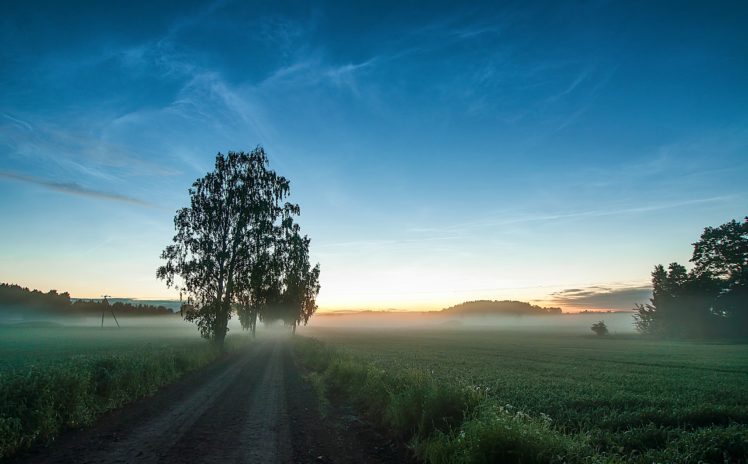 road, Field, Grass, Fog, Trees, Sky, Night, Sunset, Nature, Landscape HD Wallpaper Desktop Background