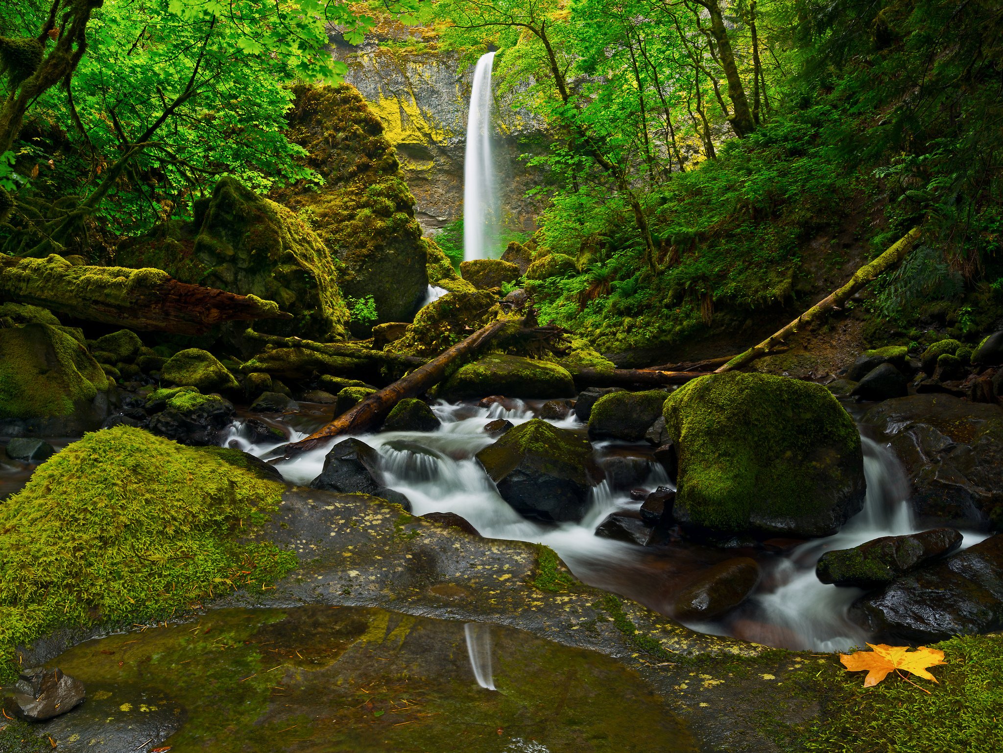 stones, Moss, Forest, Waterfall, River, Columbia, Oregon, United, States Wallpaper