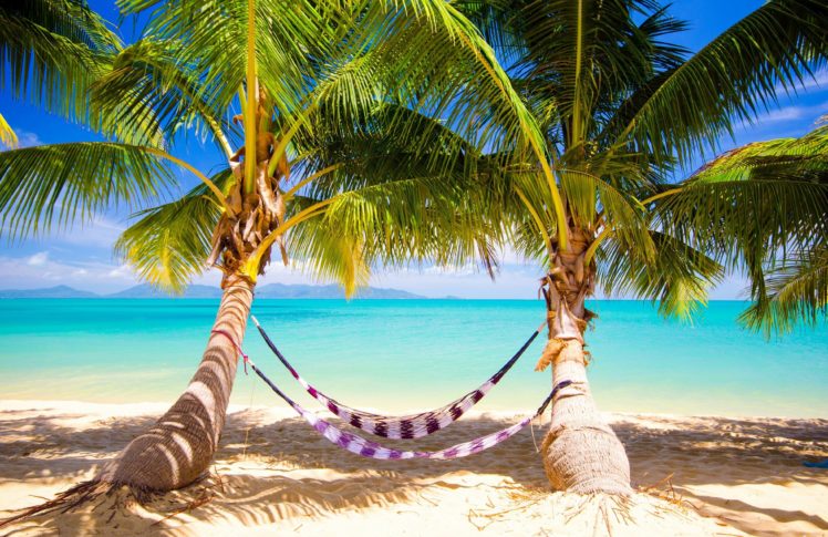 tropical, Sea, Paradise, Summer, Sunshine, Palms, Beach, Ocean HD Wallpaper Desktop Background