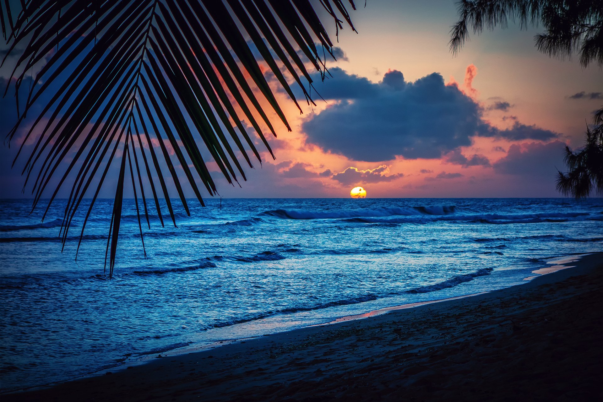 barbados, Caribbean, Barbados, Caribbean, Sea, Evening, Beach, Sunset, Sun, Palm, Trees, Leaves, Silhouette, Landscape, Nature Wallpaper