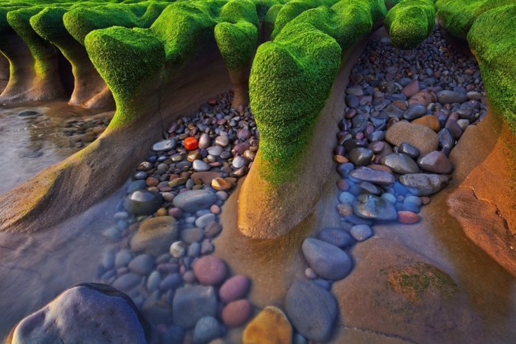 beach, Sea, Water, Rocks, Seaweed, Nature HD Wallpaper Desktop Background