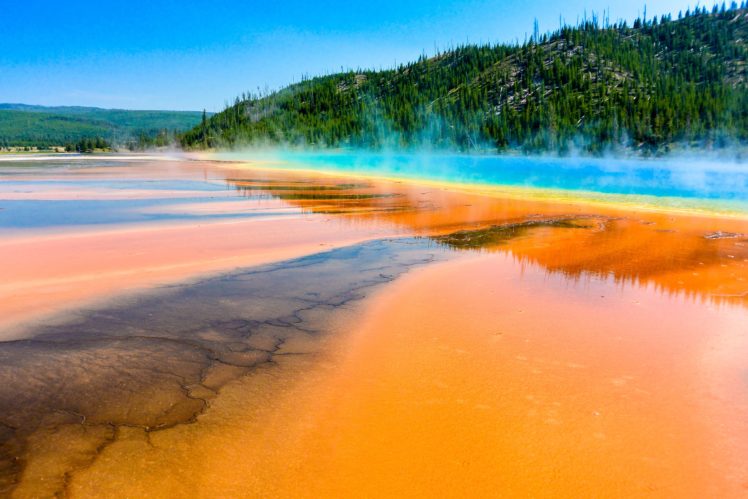 hot, Spring, Sky, Trees, Yellowstone, National, Park, Grand, Prismatic, Spring, Yellowstone, Wyoming HD Wallpaper Desktop Background