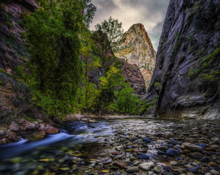 river, Trees, Rocks, Gorge, Nerrous, Nerrous, Zion, National, Park HD Wallpaper Desktop Background