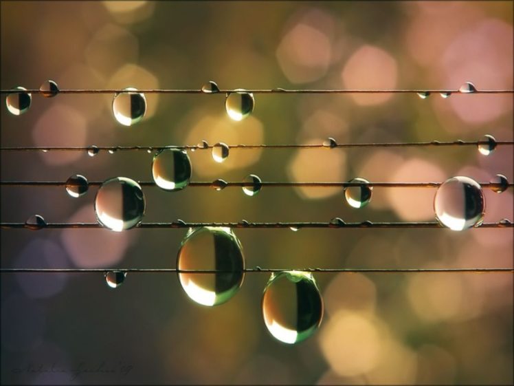 water, Droplets, Wire HD Wallpaper Desktop Background