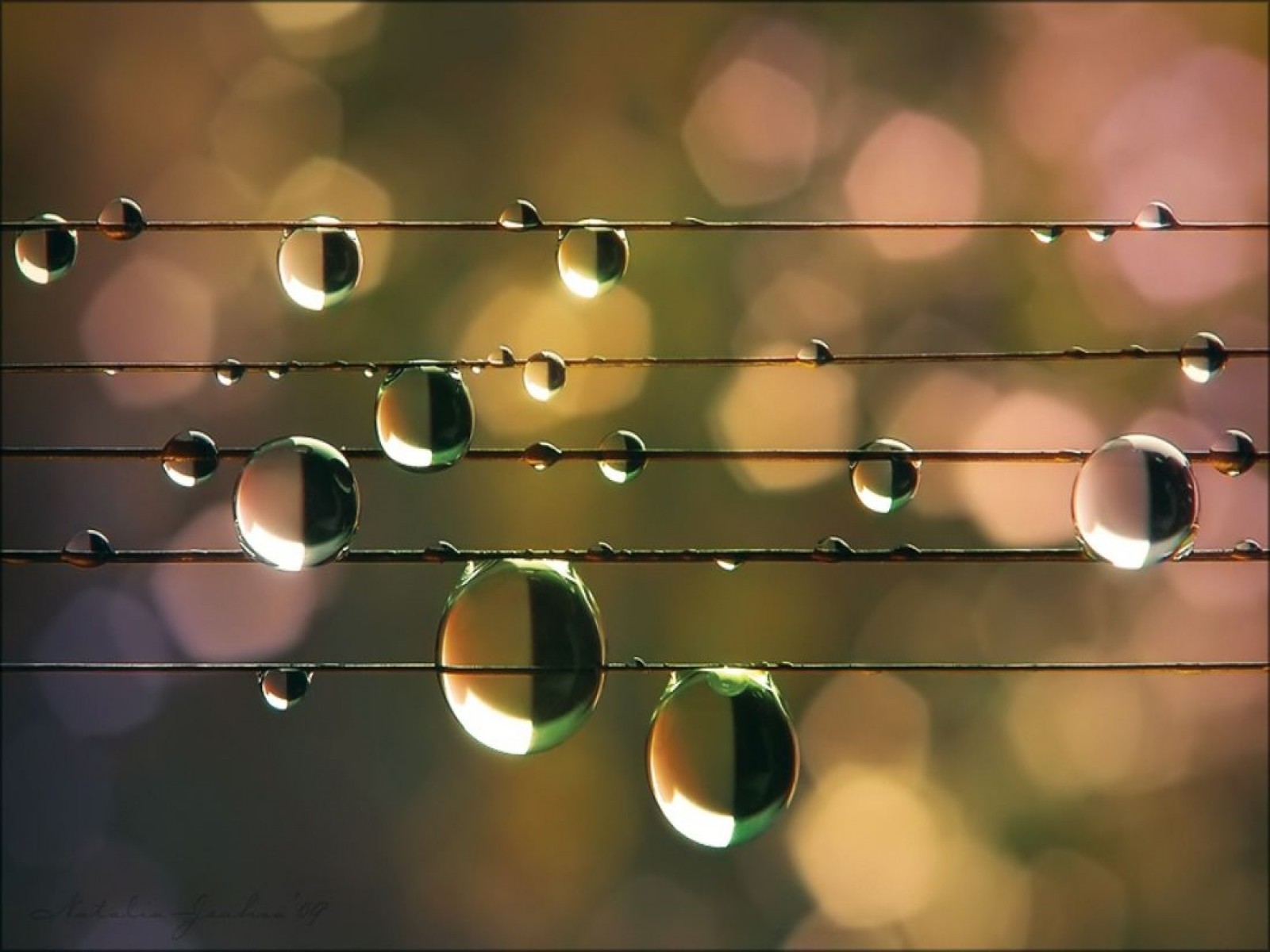 water, Droplets, Wire Wallpaper