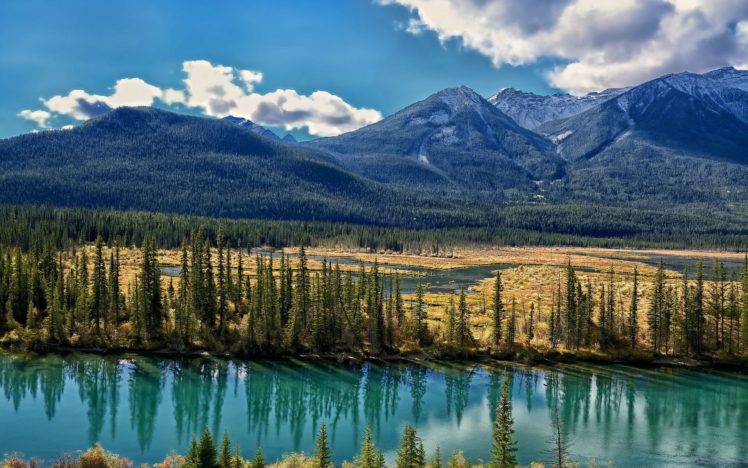 landscape, Nature, Beautiful, Forest, Area, Wild, Sky, Landscapes HD Wallpaper Desktop Background