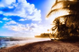 ocean, Clouds, Beach, Sand, Trees, Tropical, Sunlight, Palm, Trees, Skyscapes