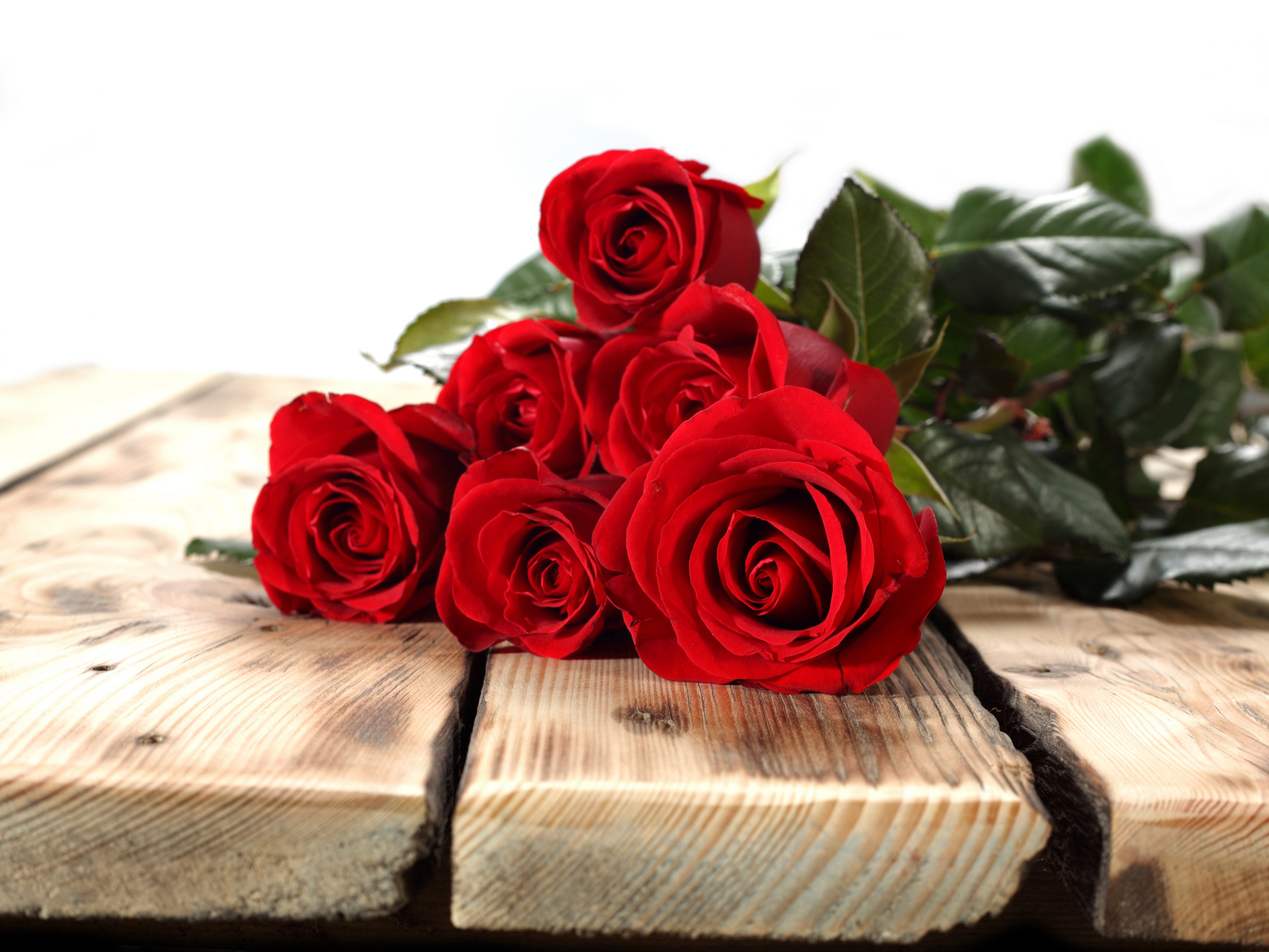 bouquet,  , Emotions,  , Flowers,  , For,  , Gift,  , Happy,  , Life,  , Love,  , Romance,  , Roses,  , Wife Wallpaper