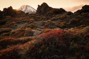 mountain, Volcano, Stratovolcano, Mount, Ngauruhoe, Tongariro, New, Zealand