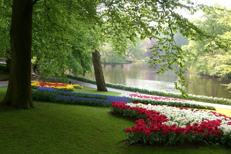 netherlands, Parks, Tulips, Daffodils, Pond, Keukenhof, Grass, Nature HD Wallpaper Desktop Background