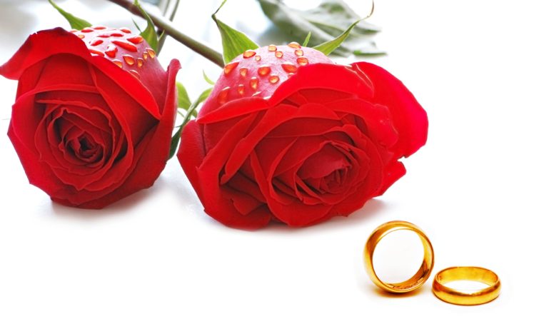 flowers, Roses, Red, Love, Couple, Marriage, Rings, Engagement, Golden,  Romantice Wallpapers HD / Desktop and Mobile Backgrounds