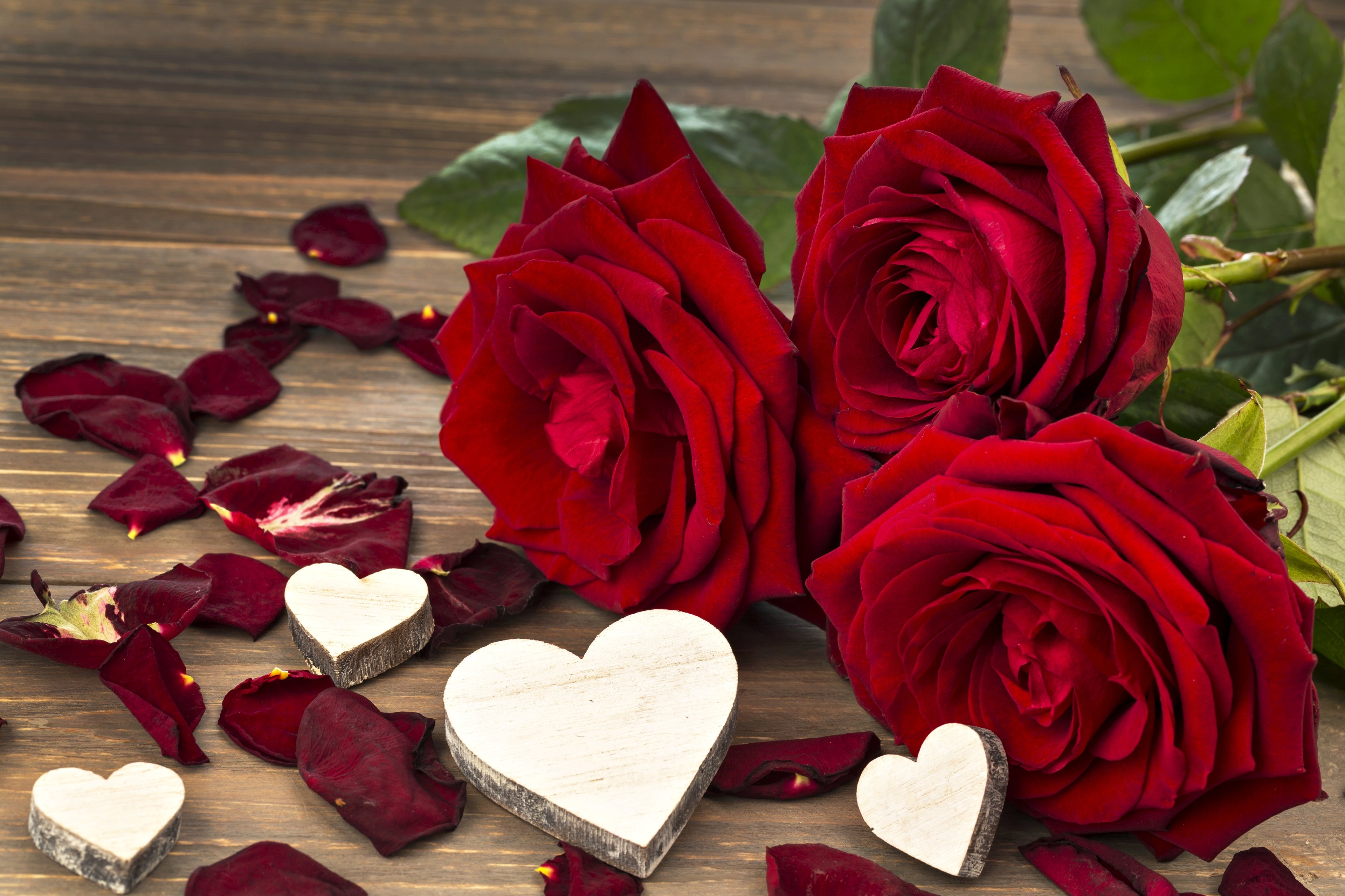 flowers, Roses, Red, Bouquet, Love, Hearts, Marriage, Engagement,  Romantice, Life, Happy, Emotions Wallpapers HD / Desktop and Mobile  Backgrounds