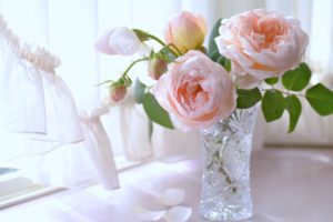 flowers, Roses, Vase, Windows, Curtains, Houses, Woman, Relax, Love, Romantice