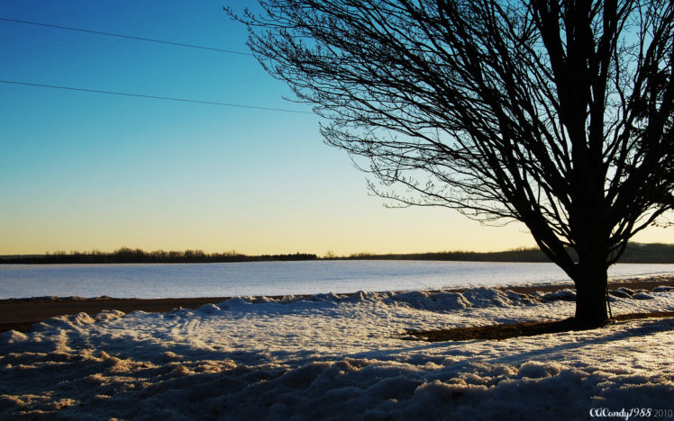 landscapes, Snow, Trees, Silhouettes HD Wallpaper Desktop Background