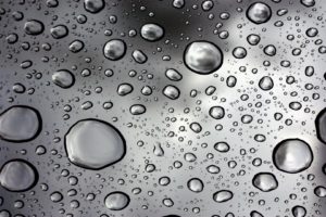 rain, Water, Droplets