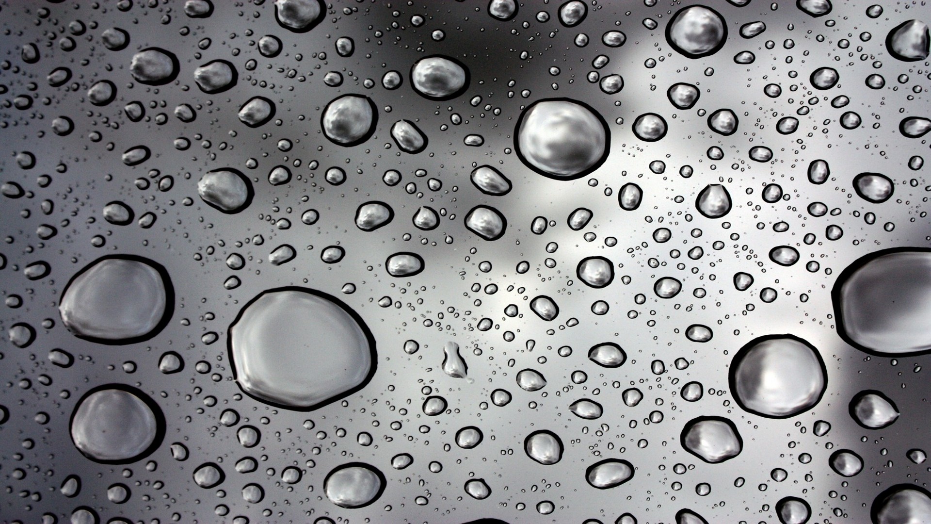 rain, Water, Droplets Wallpaper
