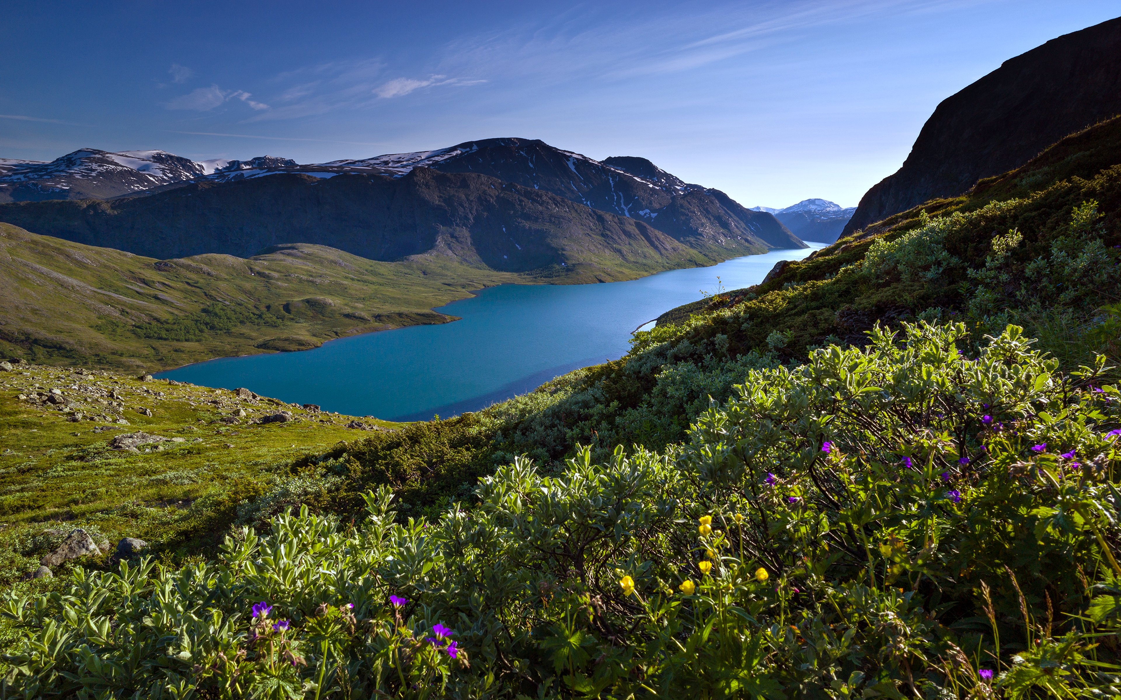 norway, Lakes, Landscapes, Forest, Mountains, Trees, Flowers, Grass, Green, Snow, Spring Wallpaper