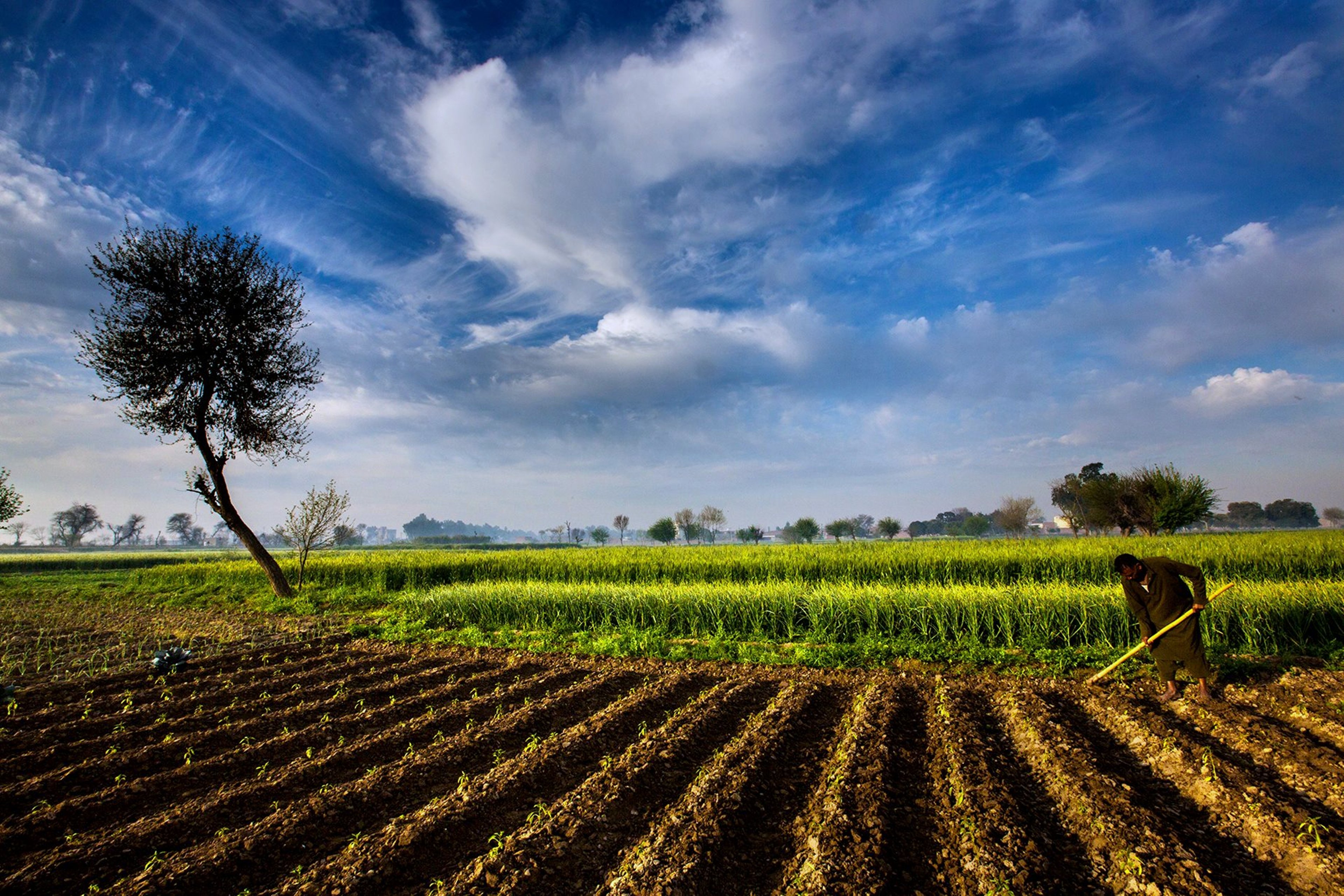 pakistan, Landscapes, Man, Farmer, Agriculture, Clouds, Sky, Trees, Fog, Nature, Countryside, Grass, Plowing Wallpaper