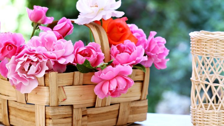 basket, Roses, Flowers, Gardens, Spring, Nature, Beauty, Love, Romance, Emotions, Life HD Wallpaper Desktop Background