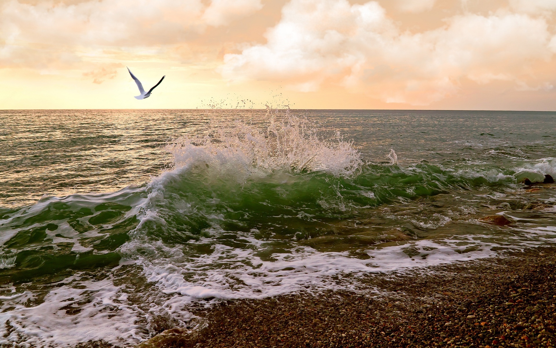 waves, Sea, Sunset, Birds, Ocean Wallpaper