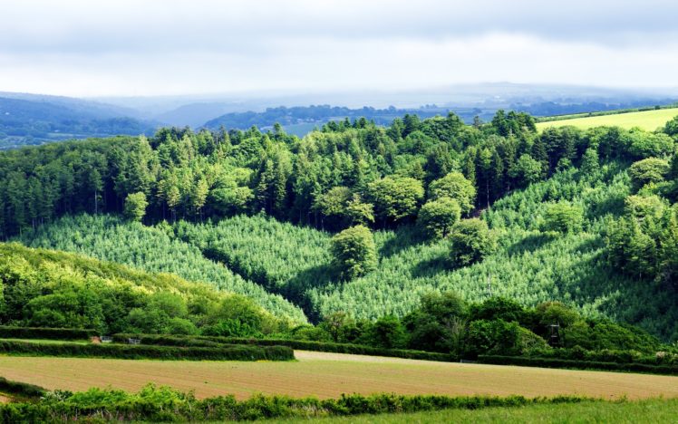 hills, Green, Trees, Forest, Jungle, Fields, Countryside, Mountains, Landscapes, Nature, Earth, Farms HD Wallpaper Desktop Background