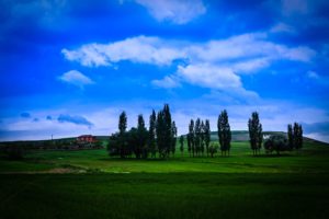 grass, Green, Landscapes, Nature, Countryside, Trees, Sky, Clouds, Earth, House, Hills, Fields, Quiet