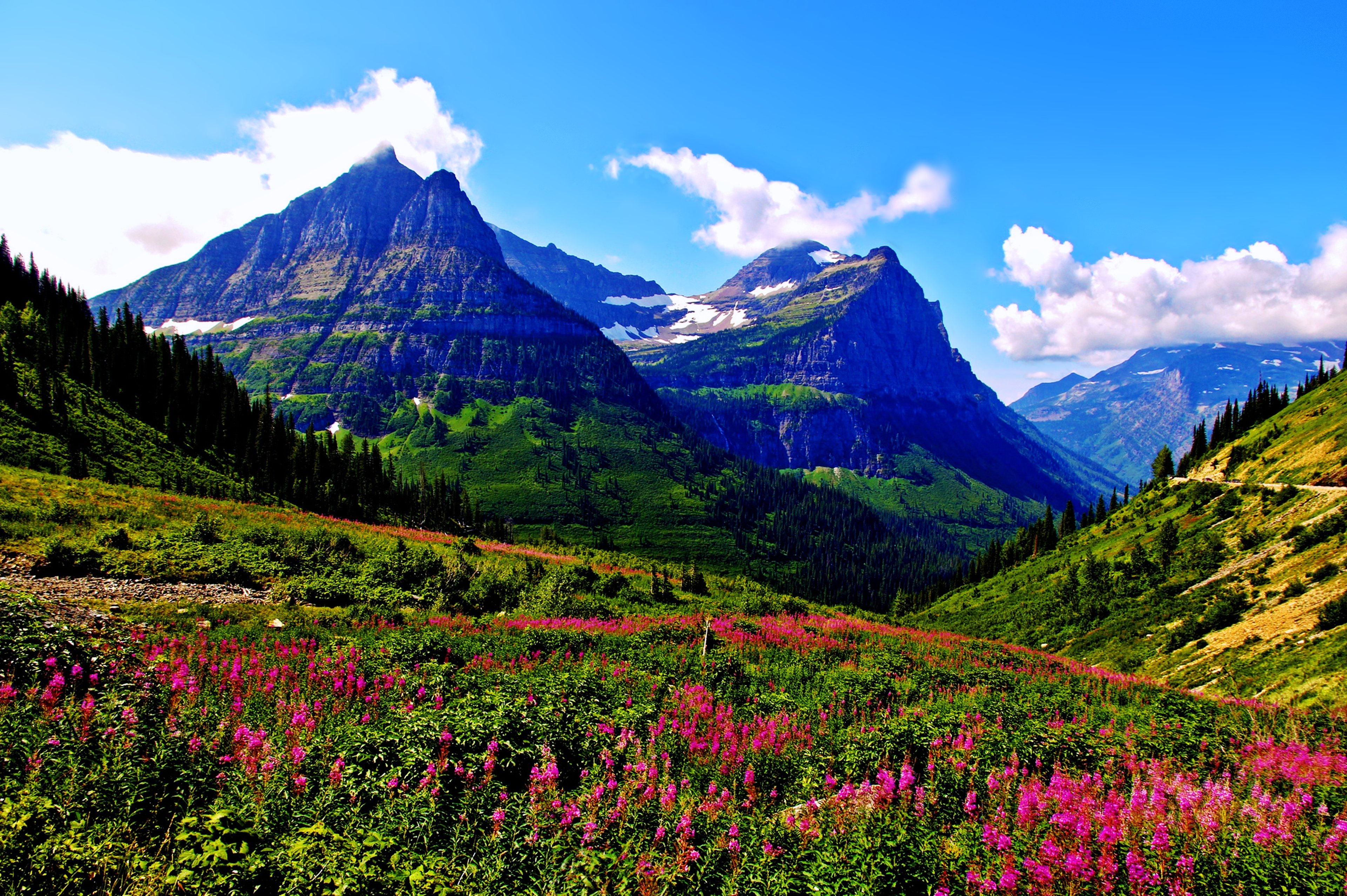 spring, Mountains, Landscapes, Sky, Clouds, Flowers, Grass, Green, Plants, Hills, Nature, Earth, Trees, Forest Wallpaper