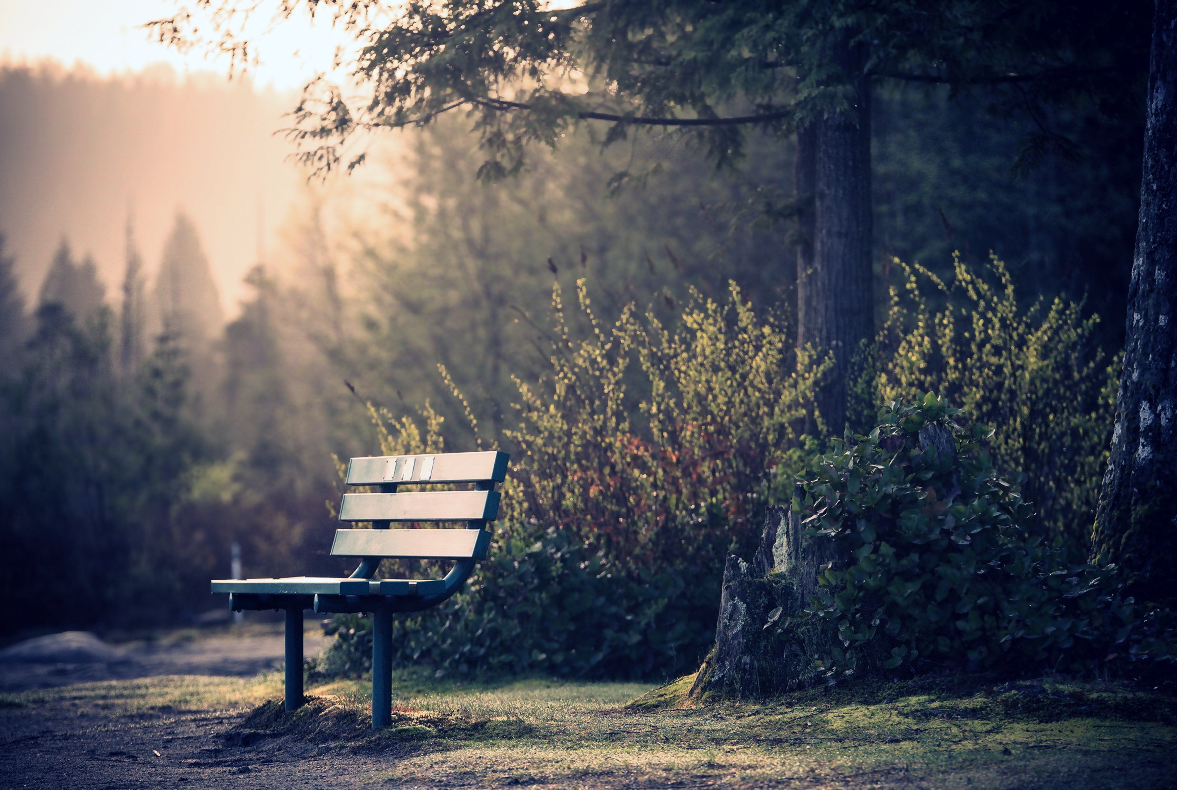 skamya, Park, Trees, Gardens, Chairs, Quiet, Relax, Alone, Nature