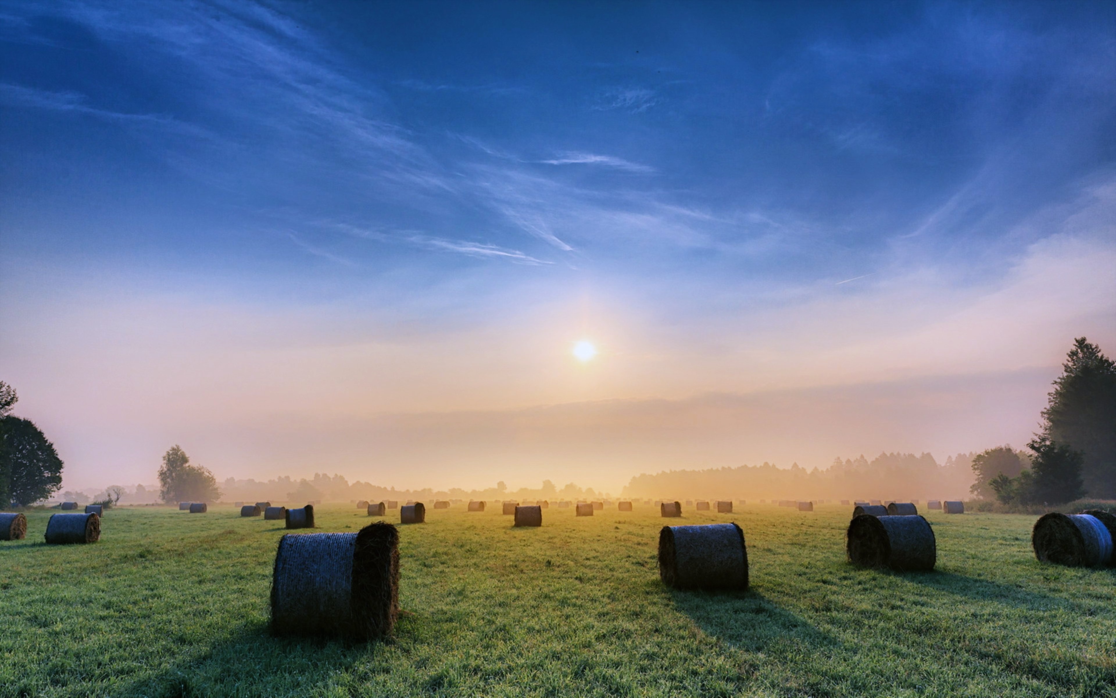 sky, Clouds, Sunny, Morning, Sunrise, Fields, Grass, Fog, Nature, Earth, Landscapes, Countryside, Trees Wallpaper