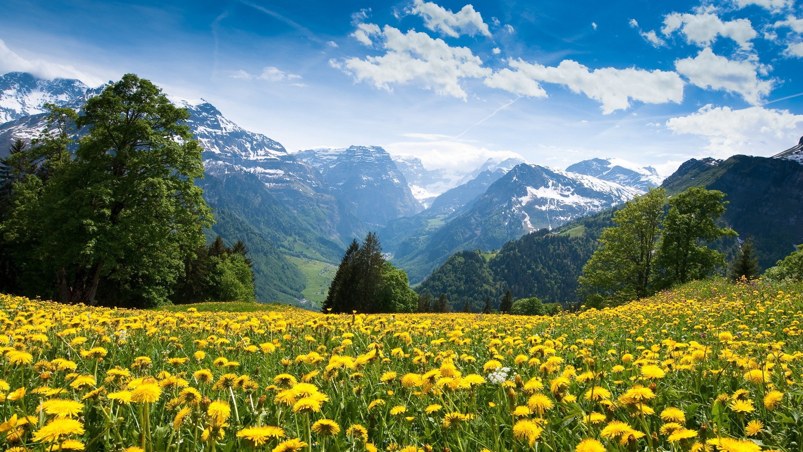 mountains, Landscape, Nature, Mountain, Spring, Meadow, Flowers Wallpaper