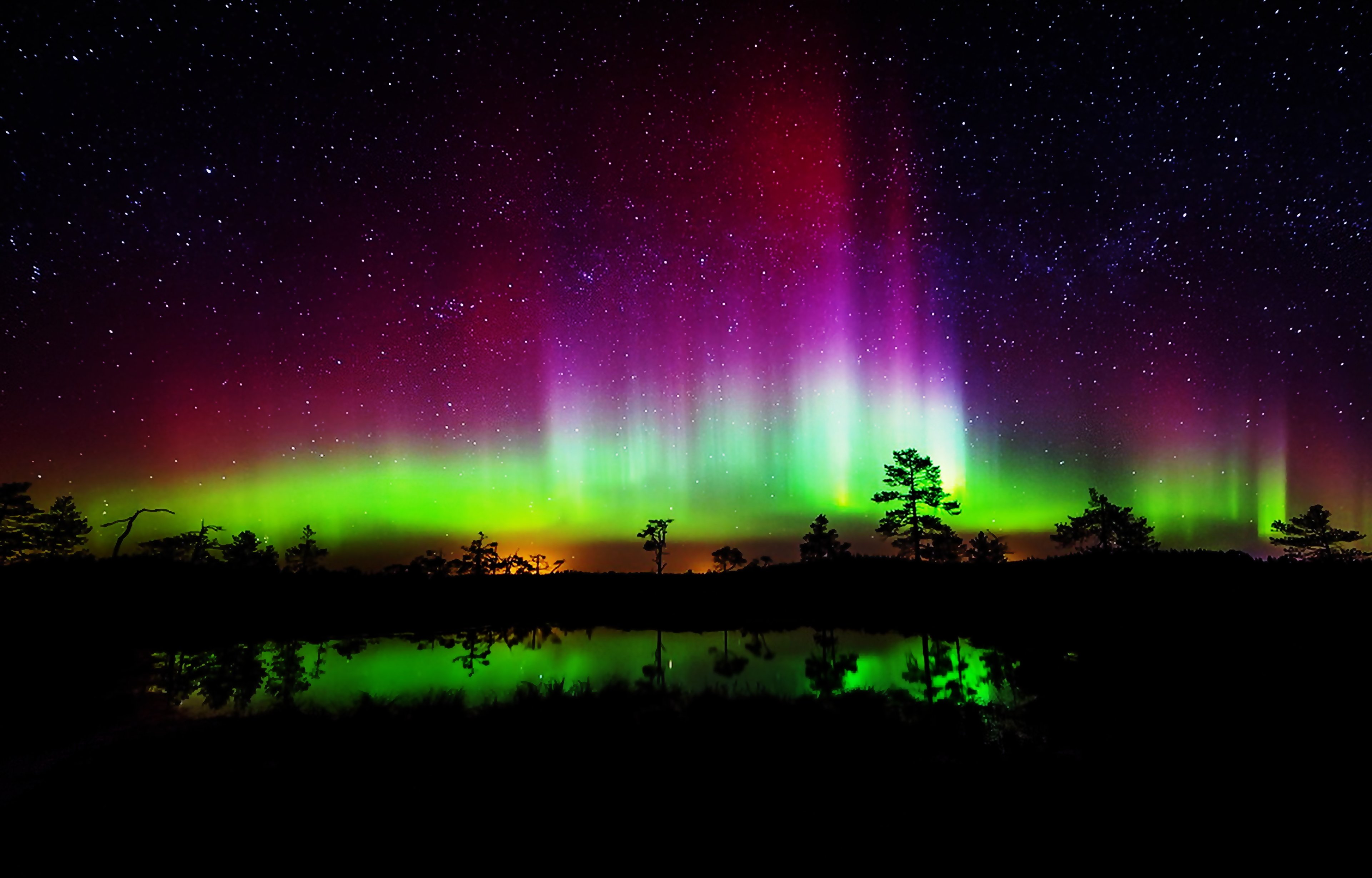 aurora, Borealis, Night, Stars, Colurful, Trees, Lakes, Landscapes, Nature, Earth, Beauty Wallpaper