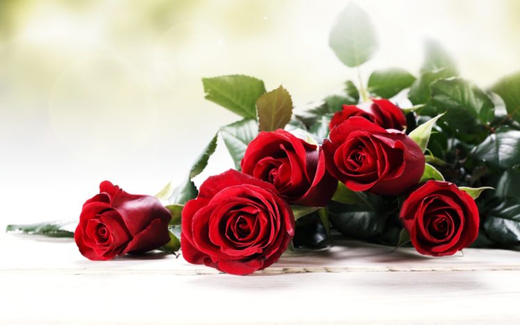 roses, Red, Flowers, Love, Romance, Emotions, 4you, Bouquet, Spring HD Wallpaper Desktop Background