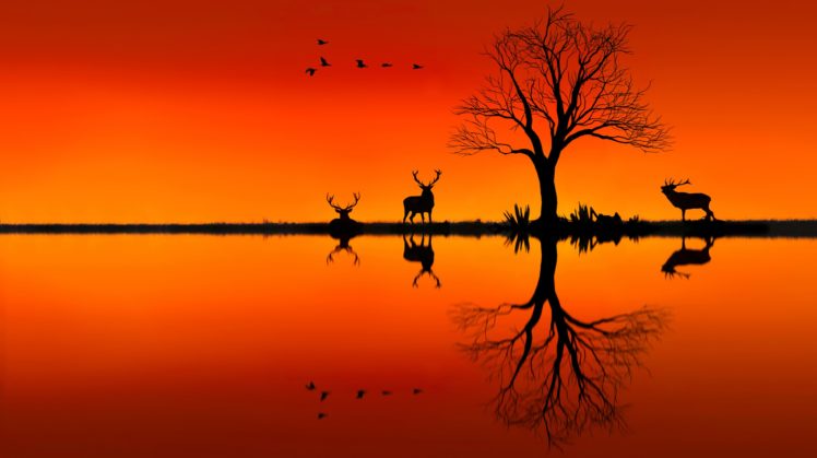 landscapes, Nature, Animals, Trees, Lakes, Sunset, Orange, Art, Drawing, Birds HD Wallpaper Desktop Background