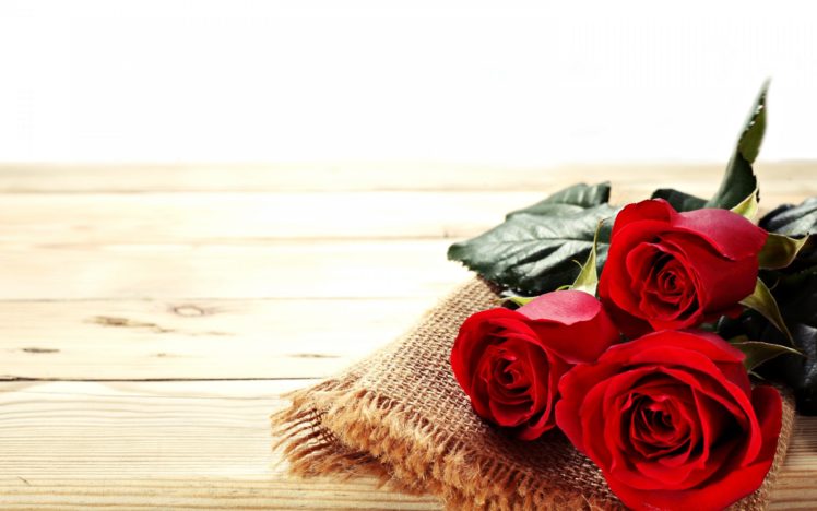 roses, Flowers, Red, Love, Emotions, Girls, Wife, 4u, Spring HD Wallpaper Desktop Background