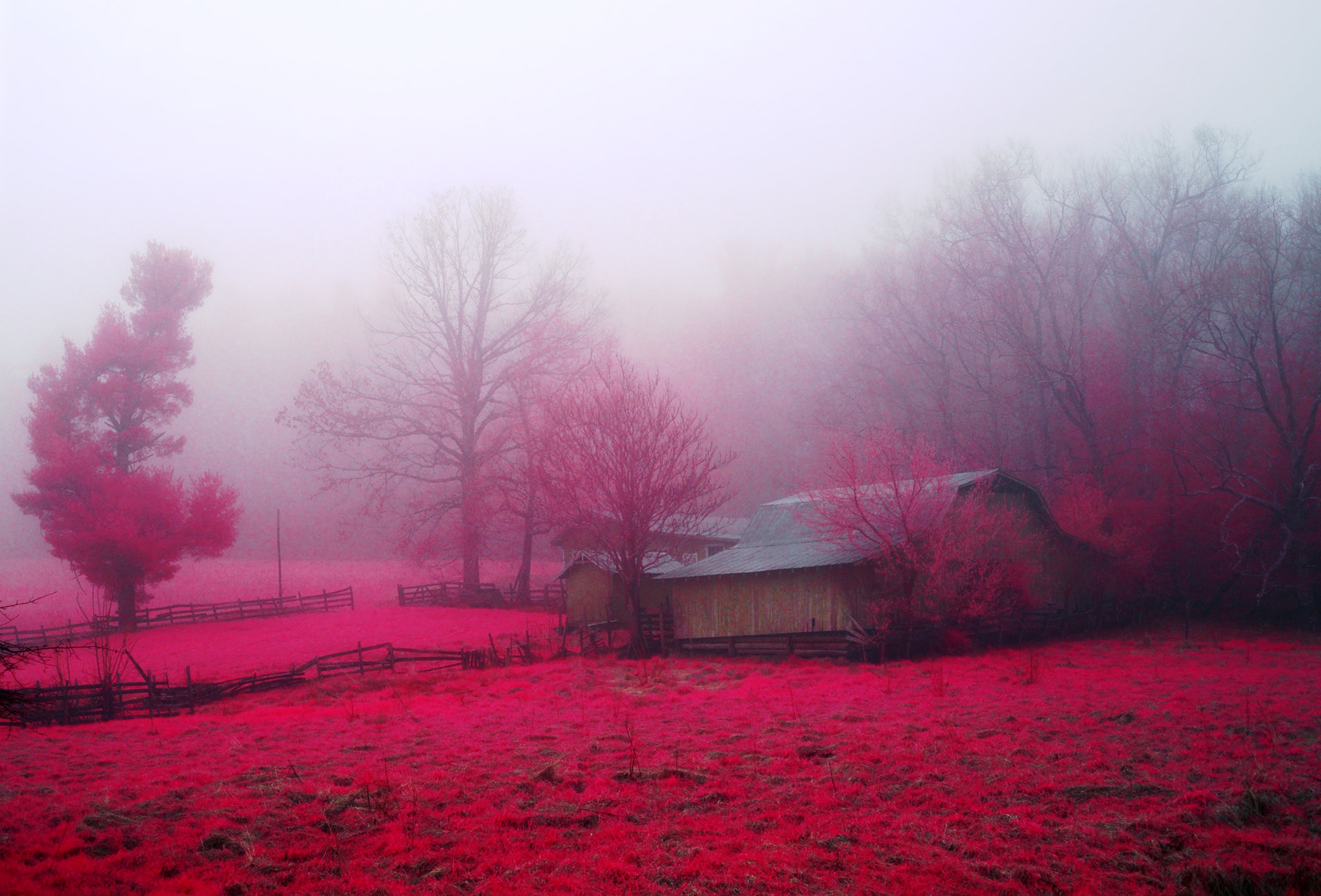 nature, House, Huts, Trees, Earth, Farms, Countryside, Autumn, Red, Pink, Rose, Beauty, Landscapes Wallpaper