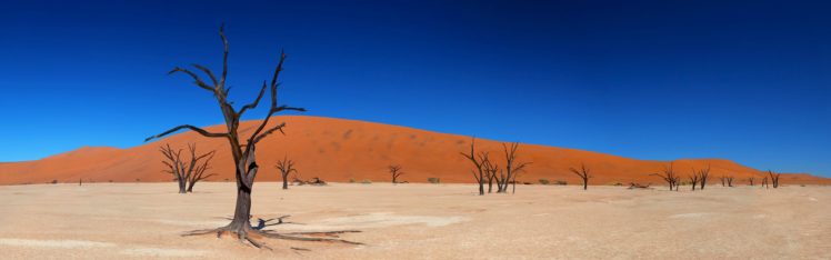 desert, Shrubs HD Wallpaper Desktop Background