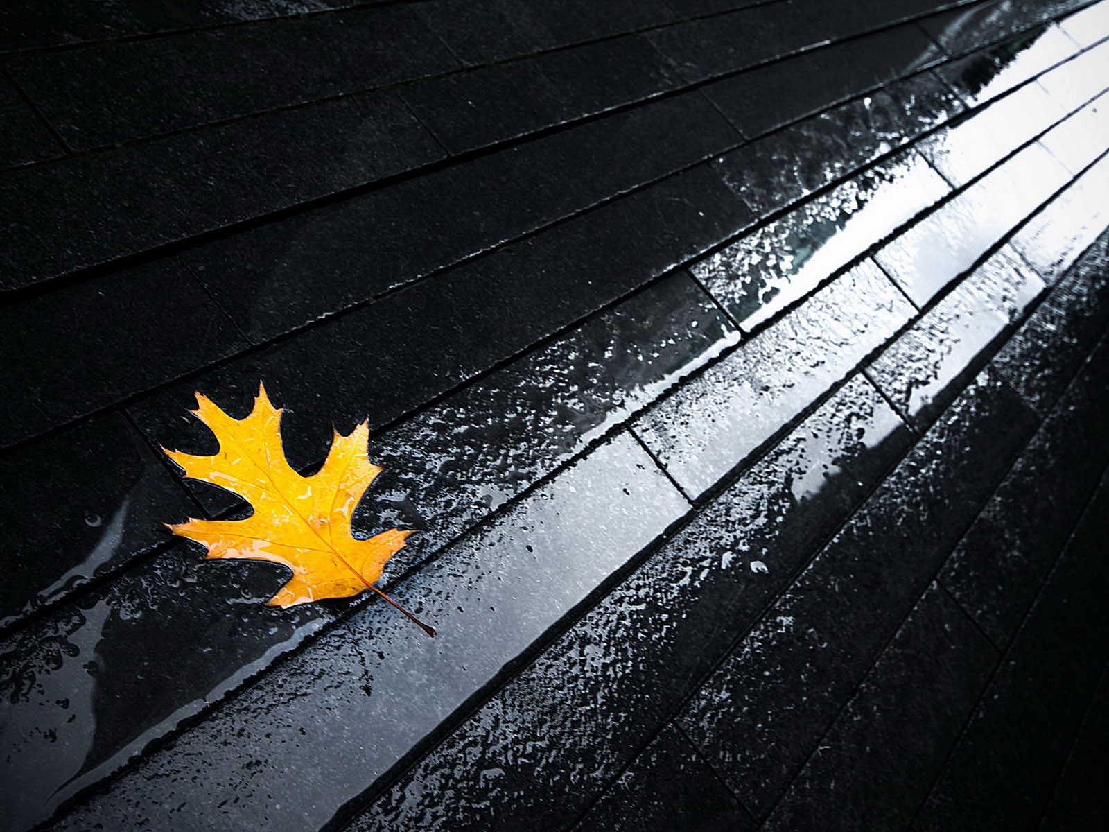 nature, Autumn,  season , Leaves, Seasons, Roads, Fallen, Leaves Wallpaper