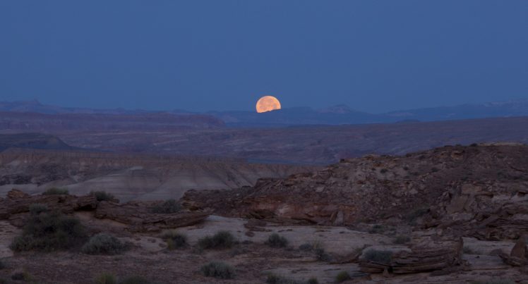 desert, Canyon, Rocks, Bushes, Moon, Sky, Landscape, Nature HD Wallpaper Desktop Background