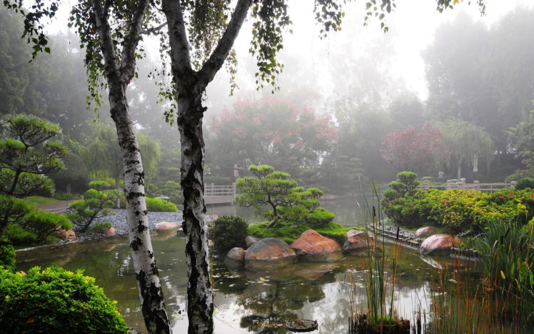 garden, Pond, Usa, Earl, Burns, Miller, Japanese, California, Trees, Birch HD Wallpaper Desktop Background