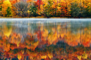 morning, Nature, Usa, Lake, New, Hampshire, Reflection, Autumn, Fog