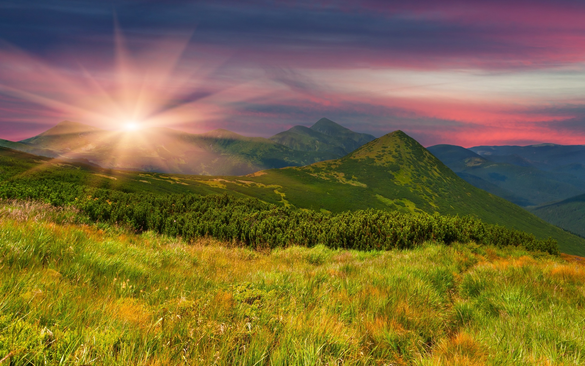 field, Mountains, Slope, Grass, Trees, Herbs, Evening, Sunset, Sun, Nature Wallpaper