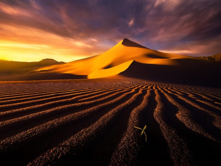 death, Valley, Desert, Dune, Sand HD Wallpaper Desktop Background